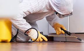 Best Pest Control for Multi-Family Homes  in North Miami Beach, FL